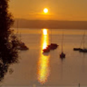 Meet your Posher, Francine